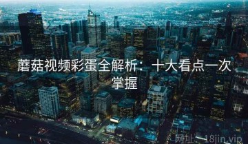 蘑菇视频彩蛋全解析：十大看点一次掌握