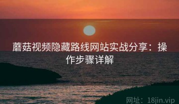 蘑菇视频隐藏路线网站实战分享：操作步骤详解
