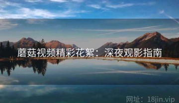 蘑菇视频精彩花絮：深夜观影指南