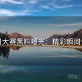 每日大赛黑料曝光：精彩瞬间合集